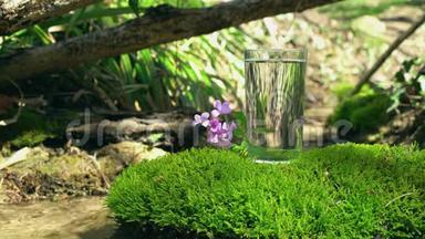 满杯水站在苔藓的岩石上，开着一朵小花。 弹簧流在软关注背景。 纯纯